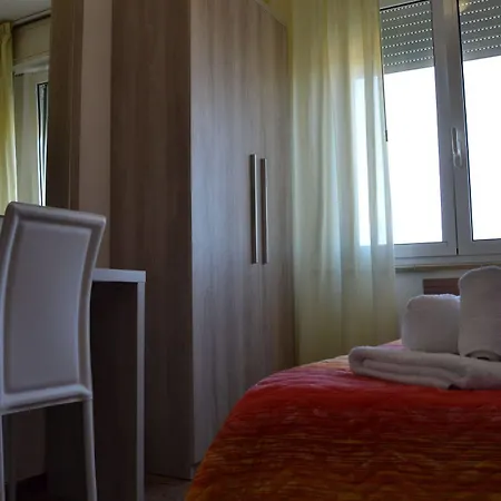 Apis Rimini