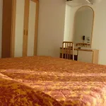 Hotel Apis Rimini
