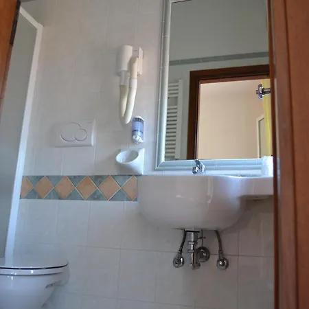Apis Rimini